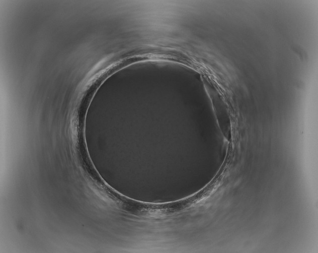 X0000112900295200909041728