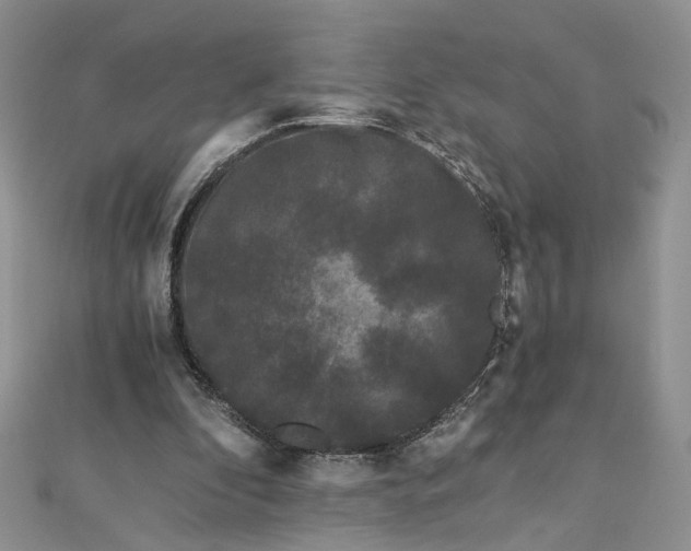 X0000112900296200909041728