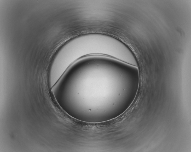 X0000112900297200909041728