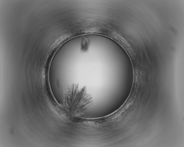 X0000112900298200909041728