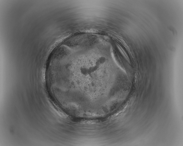 X0000112900299200909041728