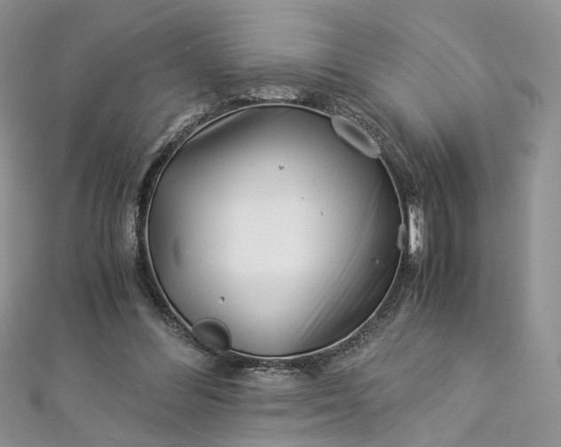 X0000112900300200909041728