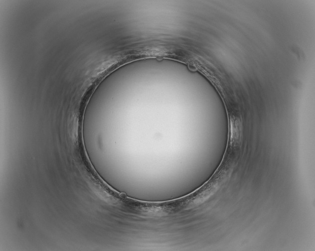 X0000112900301200909041728