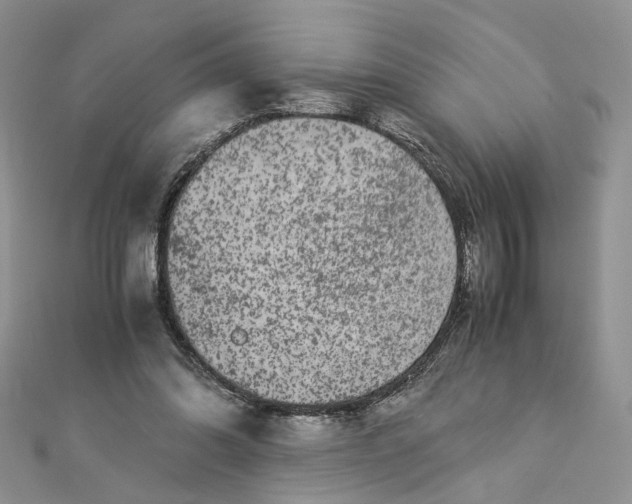 X0000112900302200909041728