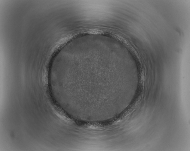 X0000112900303200909041728