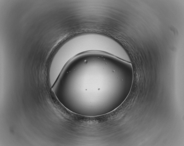 X0000112900304200909041728