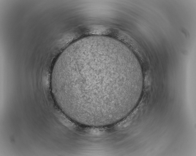 X0000112900305200909041728