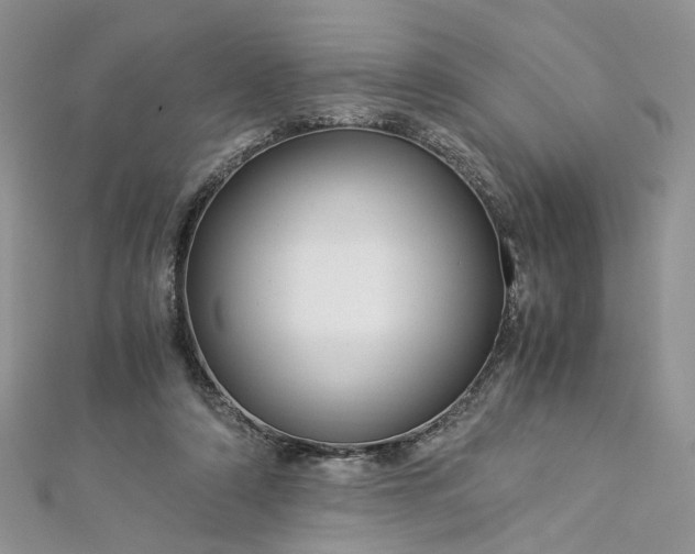 X0000112900306200909041728