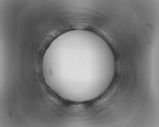 X0000112900307200909041728