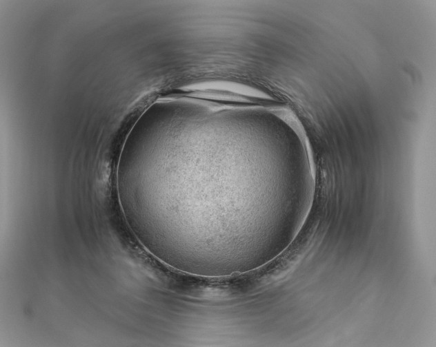 X0000112900308200909041728