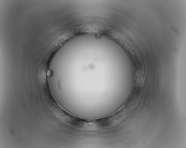 X0000112900309200909041728