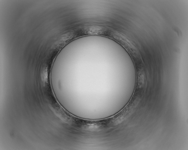 X0000112900310200909041728