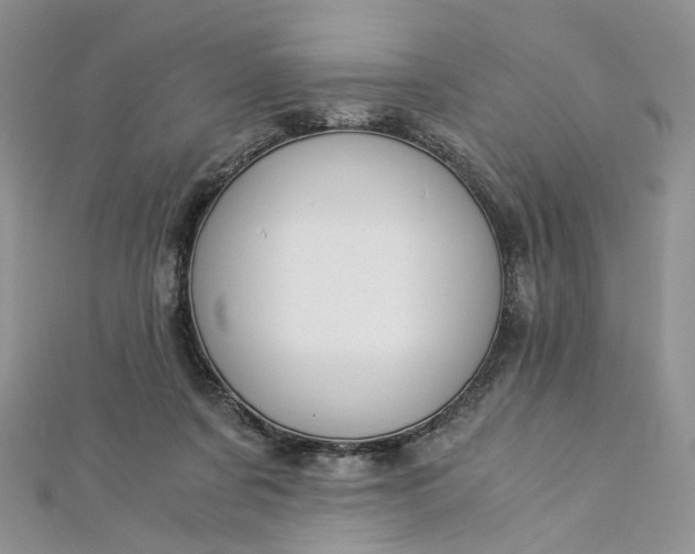 X0000112900311200909041728