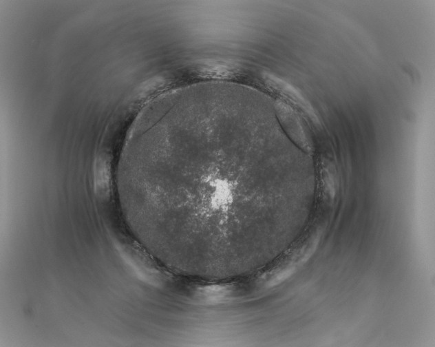 X0000112900312200909041728