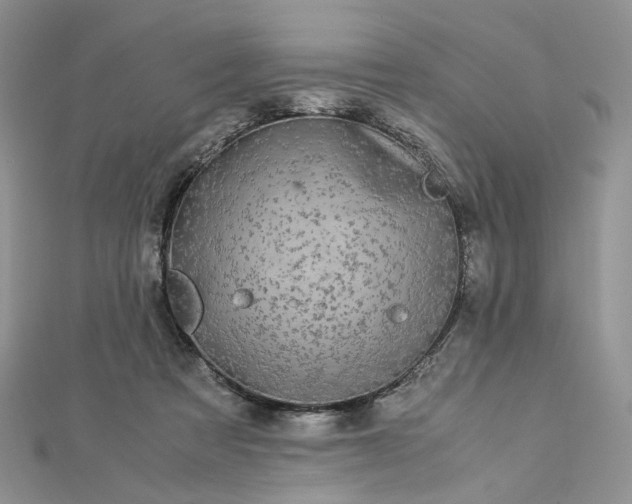 X0000112900313200909041728