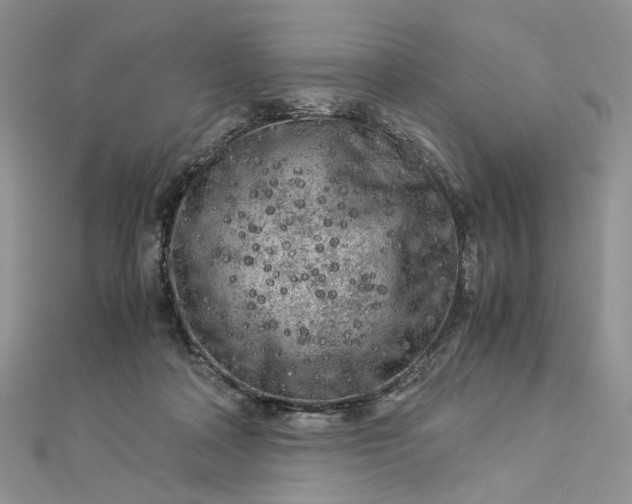 X0000112900314200909041728