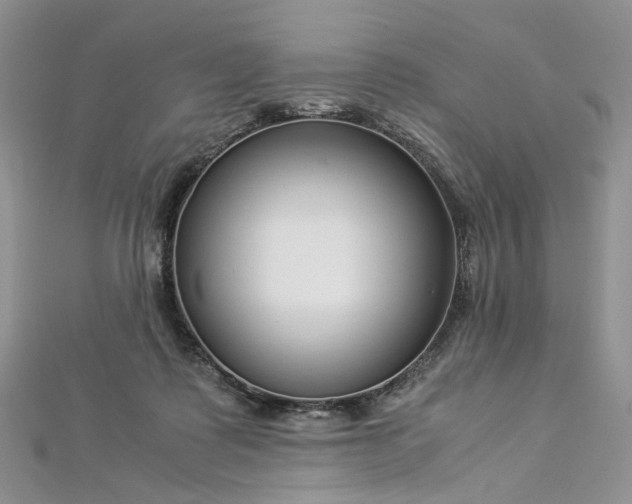 X0000112900315200909041728