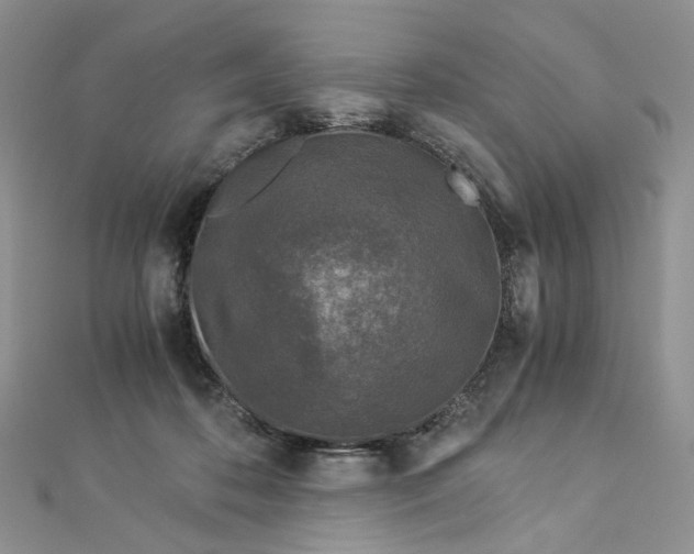 X0000112900316200909041728