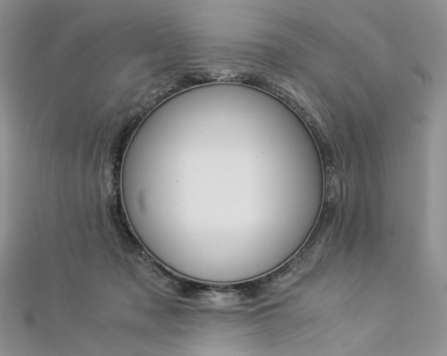 X0000112900317200909041728