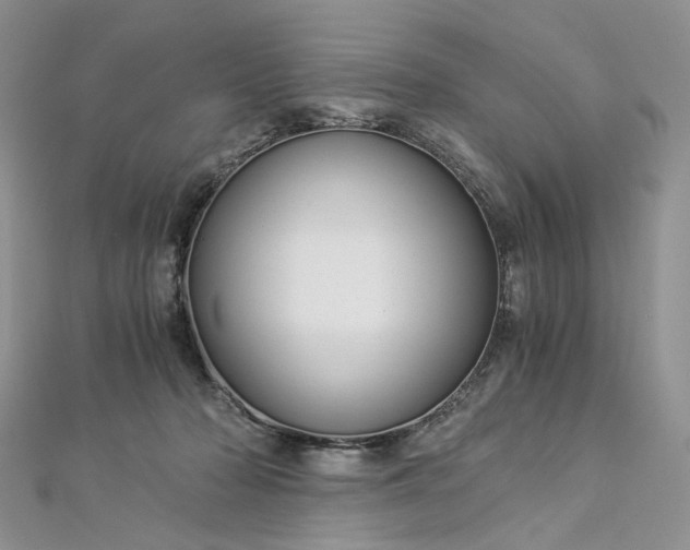 X0000112900318200909041728