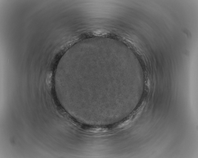 X0000112900319200909041728