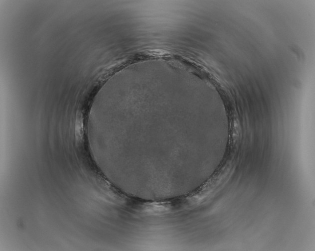 X0000112900320200909041728