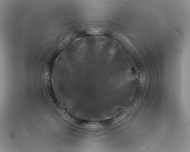 X0000112900322200909041728