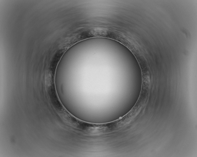 X0000112900323200909041728