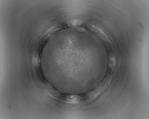 X0000112900324200909041728