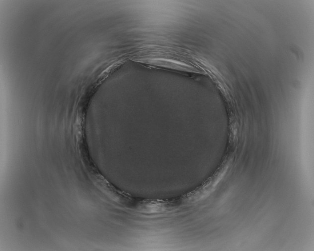 X0000112900325200909041728