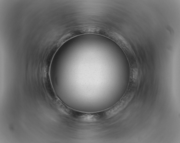 X0000112900326200909041728