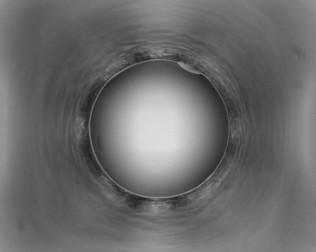 X0000112900327200909041728