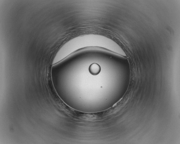 X0000112900328200909041728