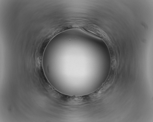 X0000112900329200909041728