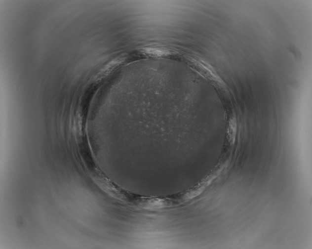 X0000112900330200909041728