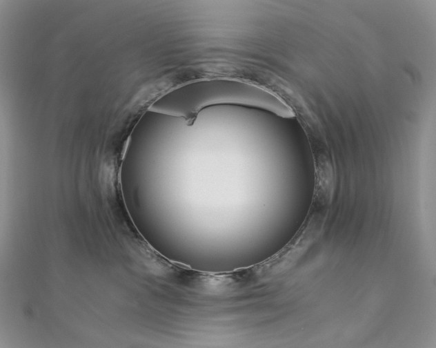 X0000112900333200909041728