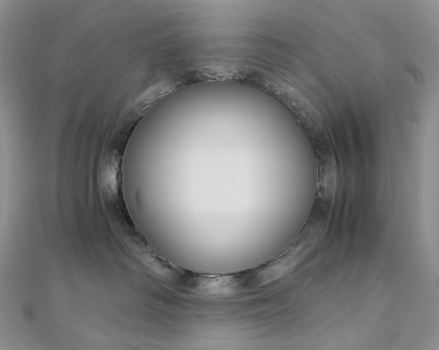 X0000112900334200909041728