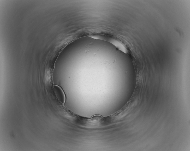 X0000112900335200909041728