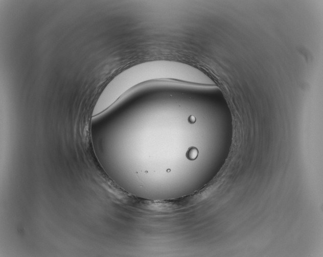 X0000112900336200909041728