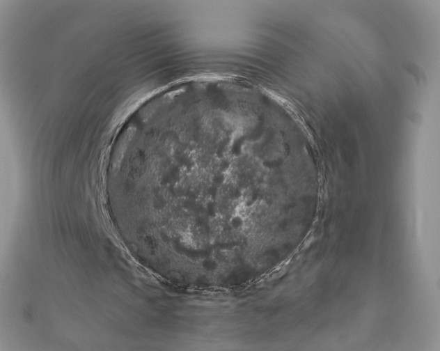 X0000112900337200909041727