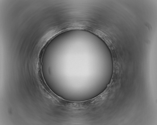 X0000112900338200909041727