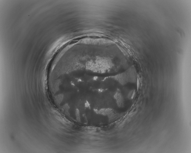 X0000112900339200909041727