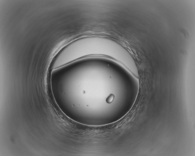 X0000112900340200909041727