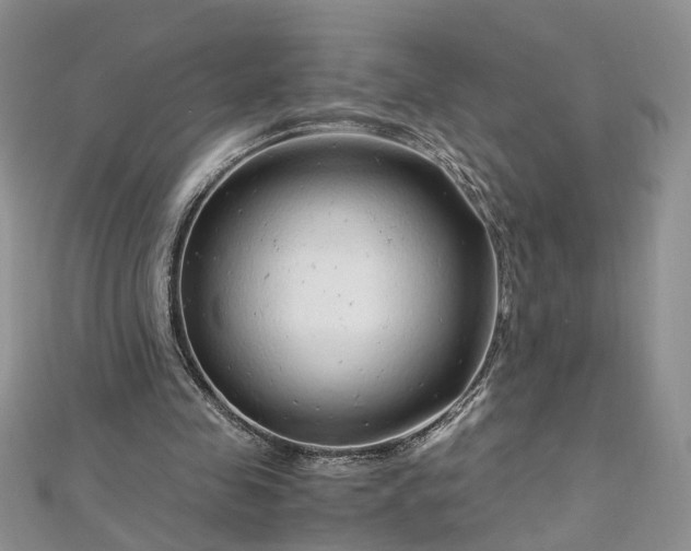 X0000112900341200909041727