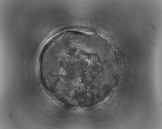 X0000112900343200909041727