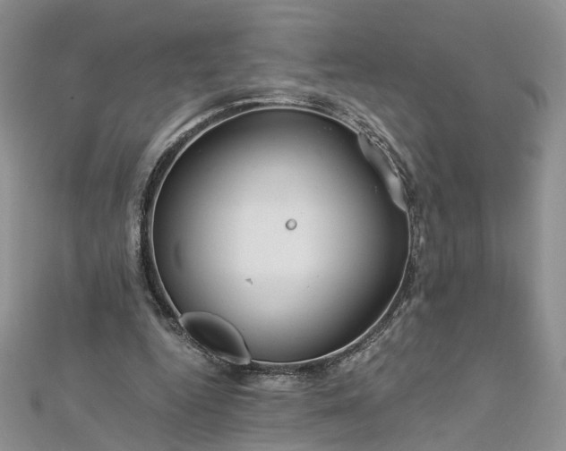 X0000112900344200909041727