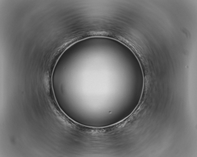 X0000112900345200909041727