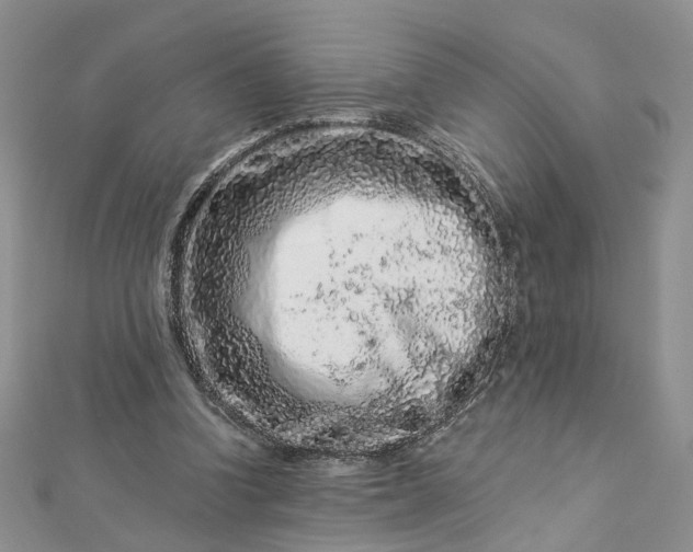 X0000112900346200909041727