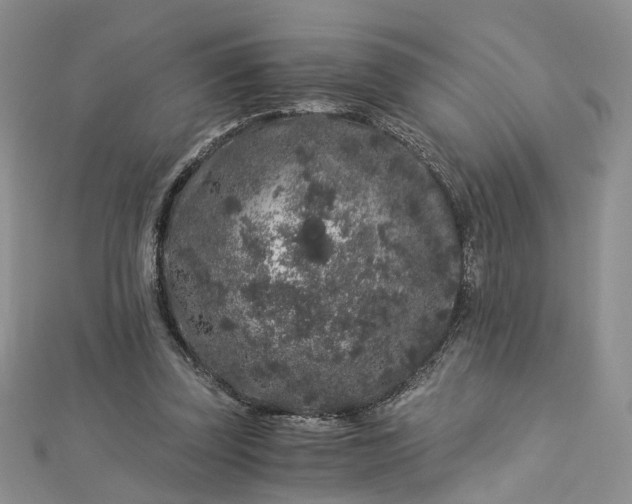 X0000112900347200909041727