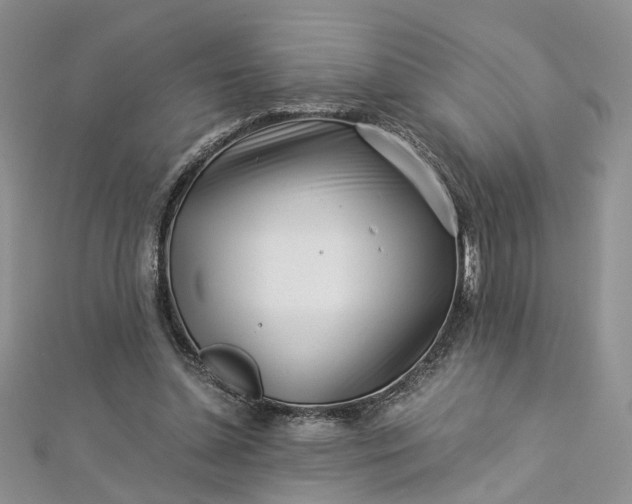 X0000112900348200909041727